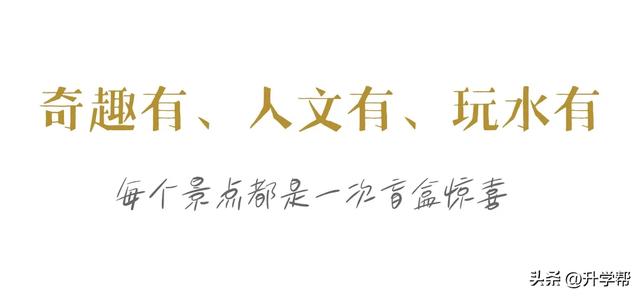 惊艳到了!乐山嘉阳千日红花海原图直出的美!