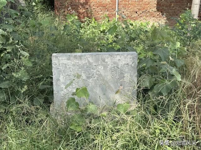 冠县乡韵·定远寨镇前杏园村