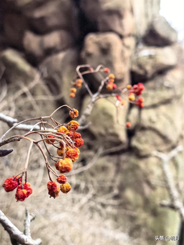 大珠山，你有多少神奇？