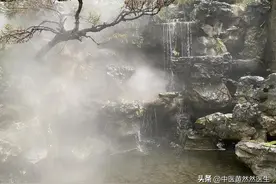 湿气与脾的关系，脾虚湿盛、湿气困脾怎么调？图片