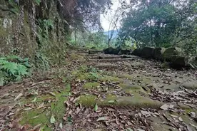 大竹古代的“高速公路”，好多人都没去过....图片