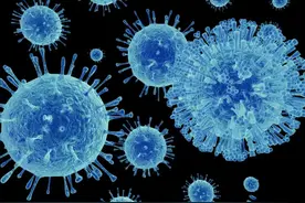 诺如病毒感染进入高发期，贵阳市疾控中心发布系列预防措施和建议图片