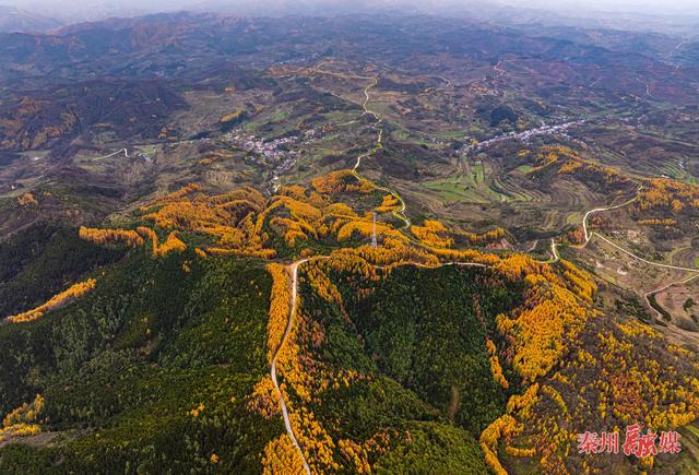秦州区齐寿山：绚烂风光绘就生态与文化和美共生瑰丽画卷