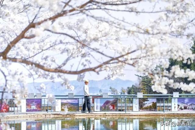 全省表彰！淄博唯一！潭溪山再揽三项省级文旅殊荣！