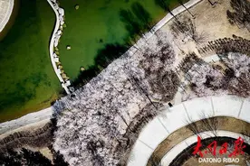 花花花花花！大同铺天盖地的浪漫图片