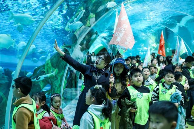 盐城亭湖文旅开启“跟着书本去旅行”