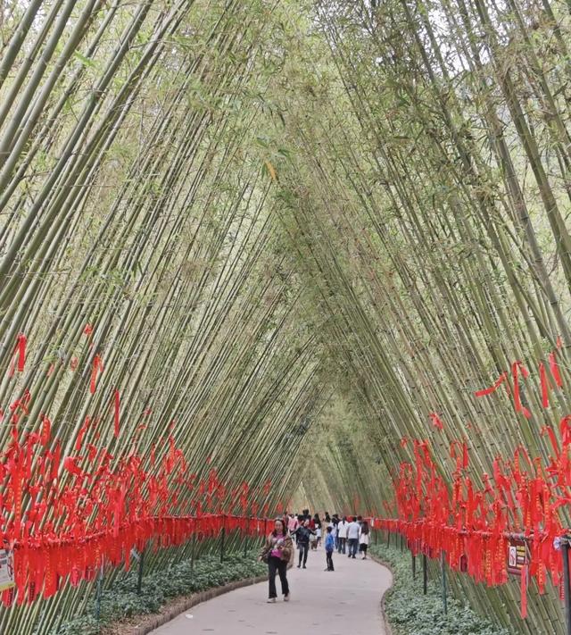 清澈又远离城市喧嚣的清远,山水之间的岭南秘语,湘粤褶皱带地质
