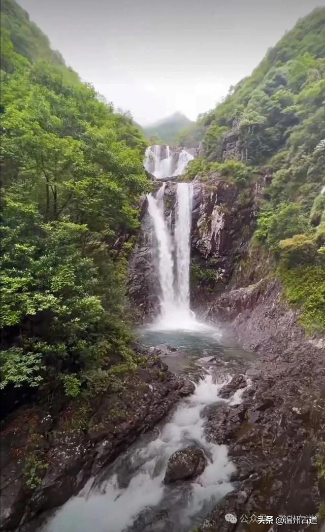 夏天你不能错过的浙南九寨沟！幽谷俊山，碧波荡漾，美得不像人间