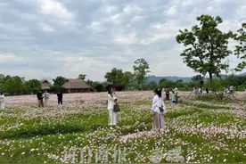 大转折，就在今晚！刚刚，杭州发布重要提醒：即将进入高峰图片