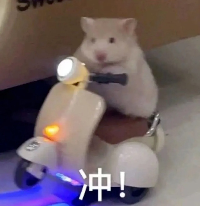 QQ 浏览器要成老司机“看片神器”？