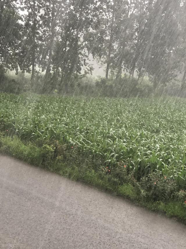散文·中秋连云港 大雨润山河