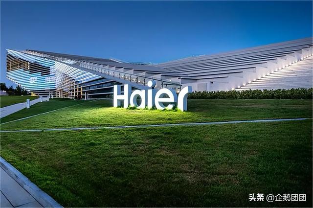 海尔老总和雷军同框遭冷落，网友调侃表情酷似结界兽，这下火了
