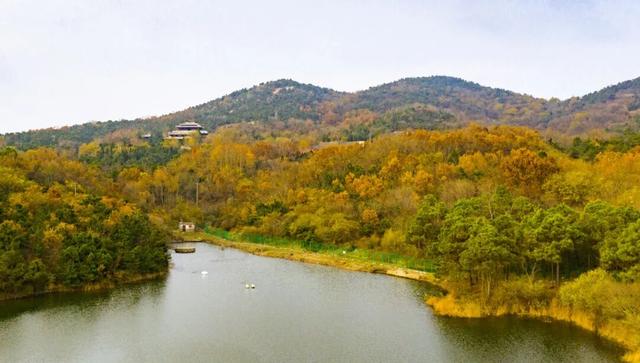 山景正宜人！青岛这里的山，已美到Next level