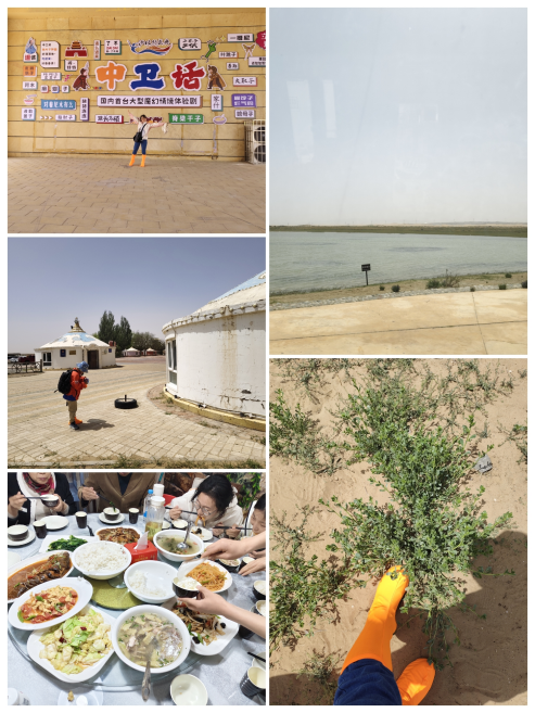 2025年五一假期宁夏之旅（2）——通湖大草原+沙坡头一日游