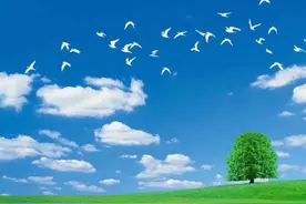 天才少女横空出世！千里马遇到真正的伯乐，何其幸运图片