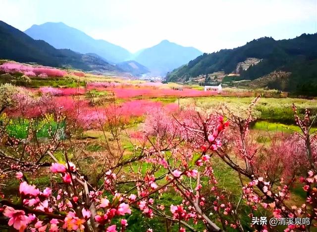 粤北深山中的调色盘——漫记多彩两江镇