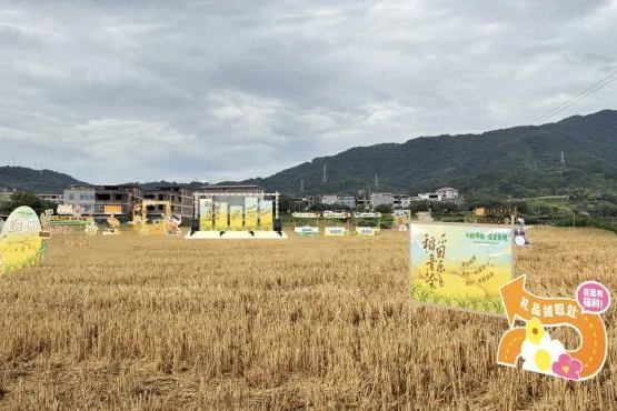 凭车票享优惠！看了这些你还坐得住吗？