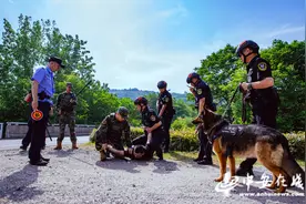 “三警联动”实战演练促安全图片