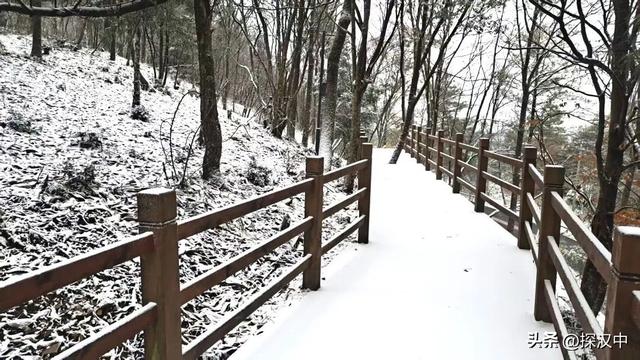 2025年草川子第一场初雪来啦！