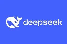 DeepSeeK是什么意思？图片