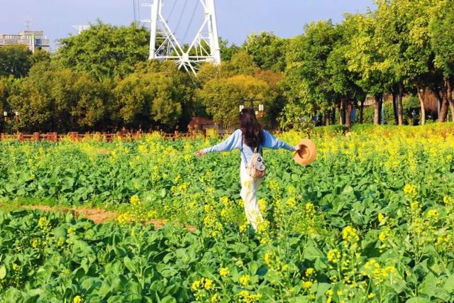 湾区周末IN东莞 | 崇焕故里向你发出City Walk邀约,一起逛墟市、走花路、访古村~