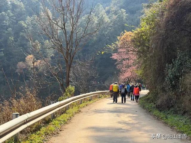 阳光明媚的冬日里，我们爬山去，逛陡坡村、看冬樱花，做晴朗的事