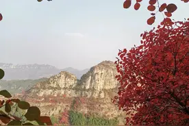 潍坊近郊游，周边一日游、自驾游，打卡免费景点、古村游玩图片