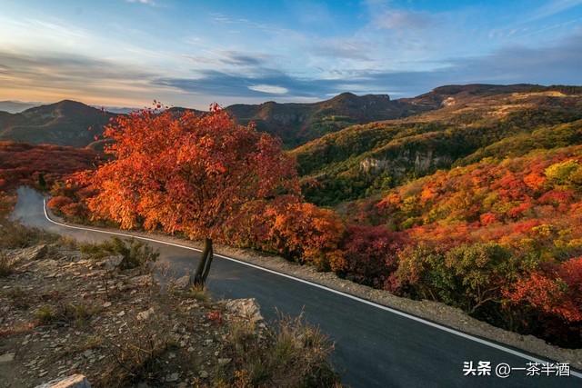 山东淄博市4日深度自驾游攻略！线路景点美食免费营地一网打尽