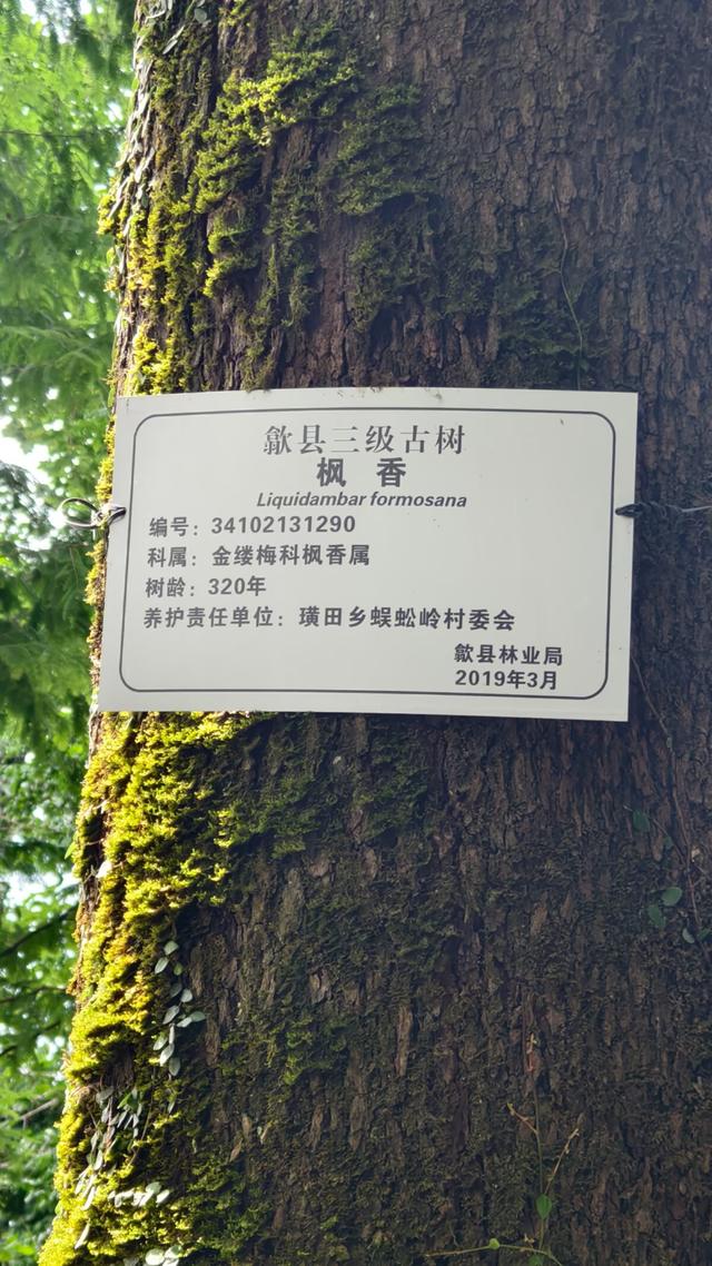 皖浙摩旅二人转——蜈蚣岭篇（下）