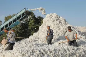 关系中国千年国运！中亚五国对中国到底有多重要？图片