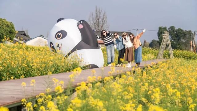 保护规划获批，崇州这个历史文化名村将有新动作！