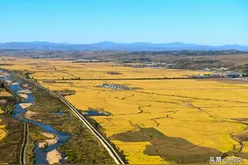 东北比华北更冷，为啥东北能种水稻华北却种不了图片