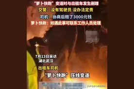 武汉萝卜快跑停运？后续：百度客服回应，网友：王传福所言极是图片