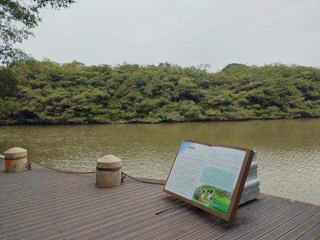 2026温暖广东之旅：漫游珠海、新会、江门