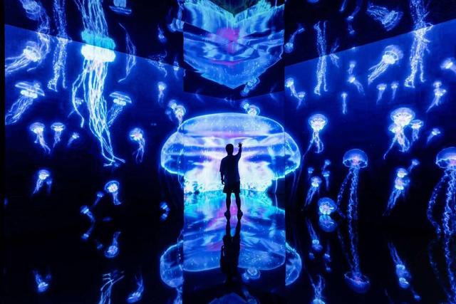 180万人次“打卡”陕图高新馆区 公共文化服务提质增效“阅”见未来