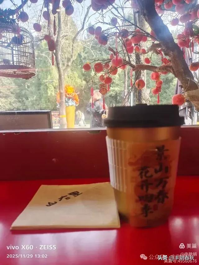 北京景山公园山右里的初冬暖调|申艳娟