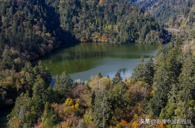 四川九寨沟：甲勿池金秋好风光