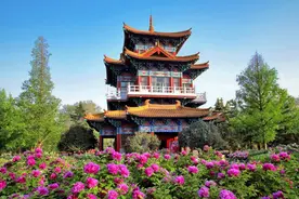 洛阳汉服搜索量全国前三，“汉服赏花”成牡丹节一景图片