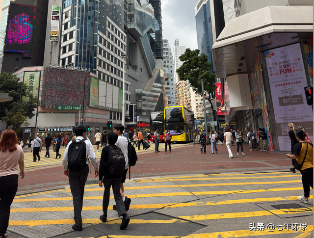 全家出动！2026 香港花展来了：紫罗兰花海 + 铜锣湾血拼