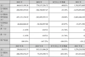 2023年亏得一塌糊涂！有棵树或面临破产退市风险图片