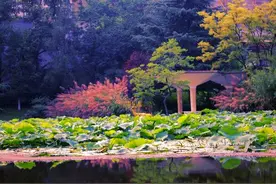 大三下了，绩点3.0刚出头，还没找到导师接收，保研还有戏吗？图片