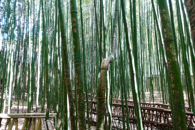 谁懂！陕西这座隐秘小县城，去了直接不想走