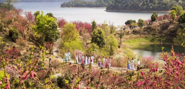 花朝传情，萤火虫飞！2026第二届昌农花卉踏春季重磅启幕，等你“戏春风”！