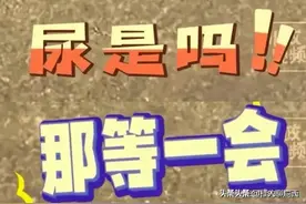 后续！完整视频来了，女子遛狗狗在轮胎撒尿，抵赖不擦，令人气愤图片