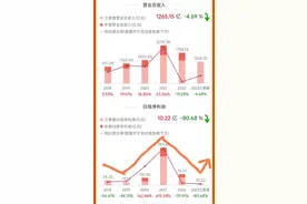 波段再起——京东方A——明年平地起高楼，今朝波段也是肉！图片