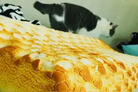 5种生活用品“没坏也要扔”，不是钱太多，是不想暴露在危险之中图片