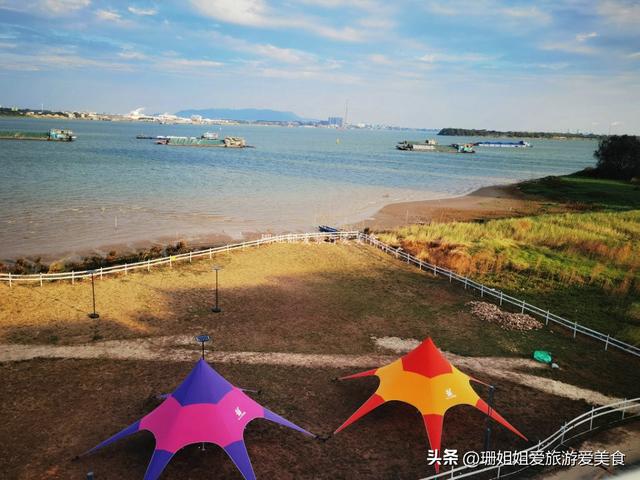 佛山高明小众宝藏渔村！初冬正确打开方式：吹西江风、吃现捞河鲜