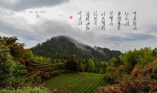 烟雨大别山，醉美望天村