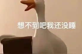 “1小时飞过8架”“感觉屋在抖”！有小区遭遇，市民投诉图片