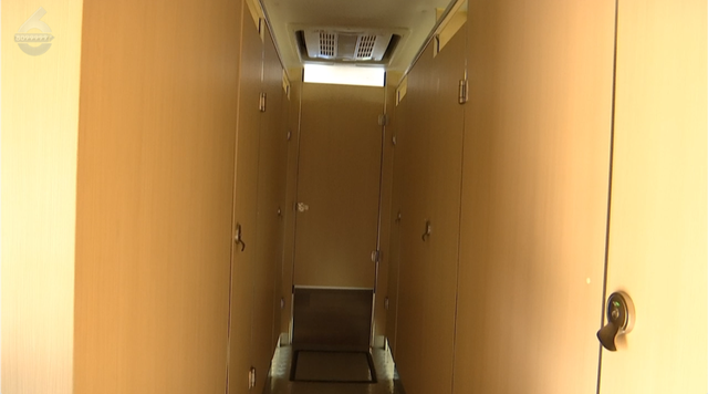 观鸥更方便！全新移动服务“神器”来了！